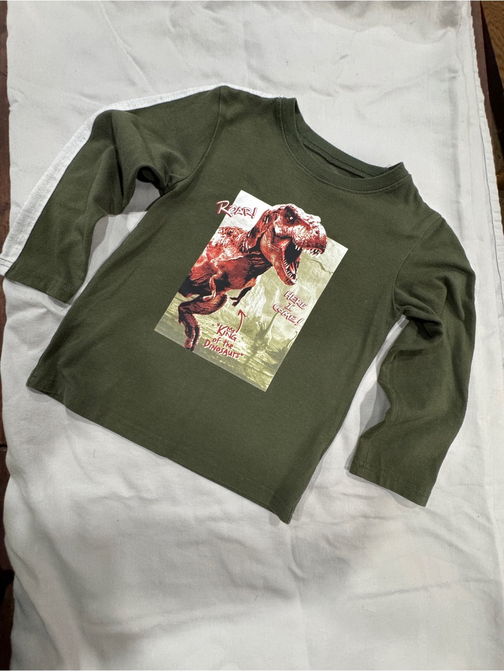 Dinosaur Graphic print Tee Garanimals Olive Green Long-Sleeve Tee boys size 4-6